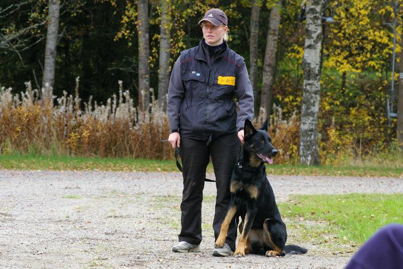 PK kurssi (9).jpg